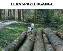 Lernspaziergänge