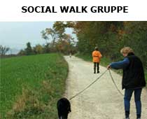 Social Walk Gruppe