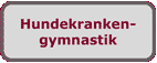 Hundekrankengymnastik